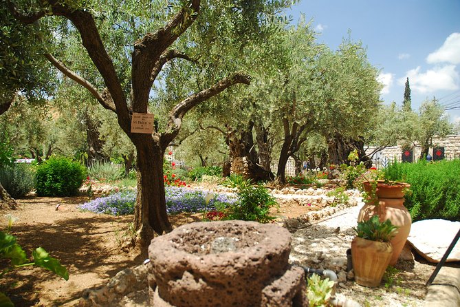 Jerusalem Tour from Tel Aviv: In the Footsteps of Jesus - Garden of Gethsemane and the Church of All Nations