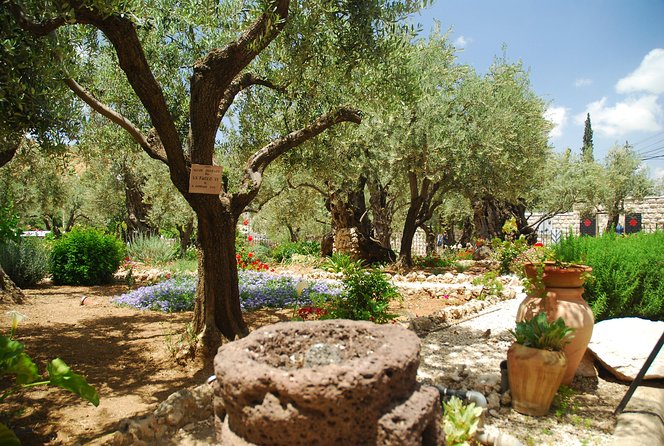 Jerusalem Walking Tour: In the Footsteps of Jesus - Pool of Bethesda and St Anne’s Church