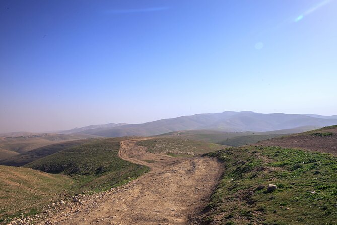 Judean Desert Jeep Adventure from Jerusalem - Wadi Qelt, springs, and route changes