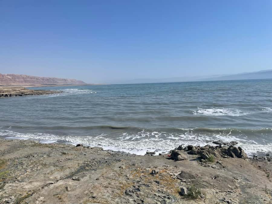 Masada Dead Sea: Small Group Tour from Tlv INCL. ENTRY FEES - How the small group changes the day