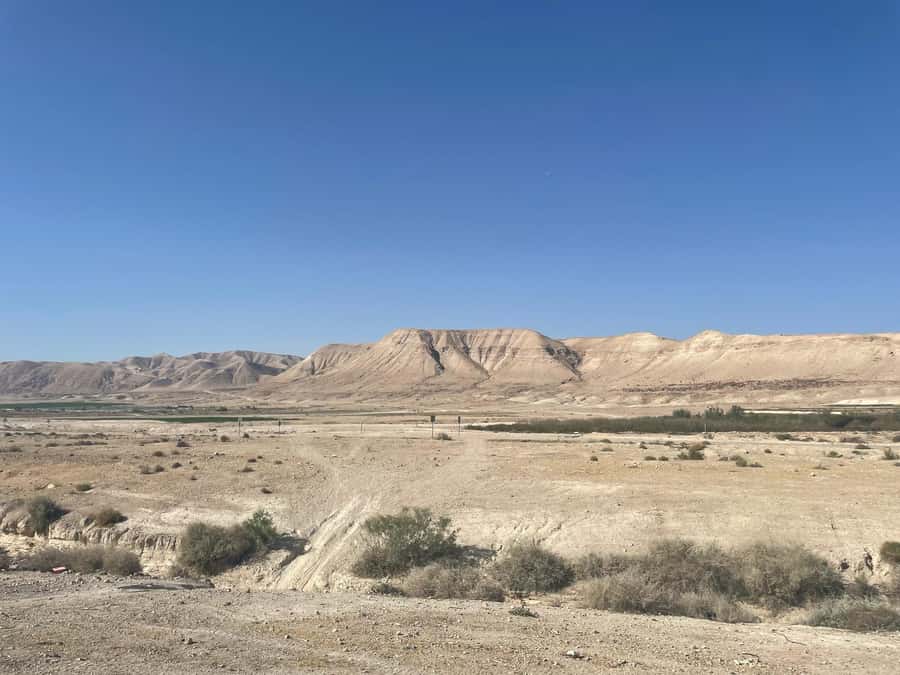 Masada Dead Sea: Small Group Tour from Tlv INCL. ENTRY FEES - What the $155 price really covers