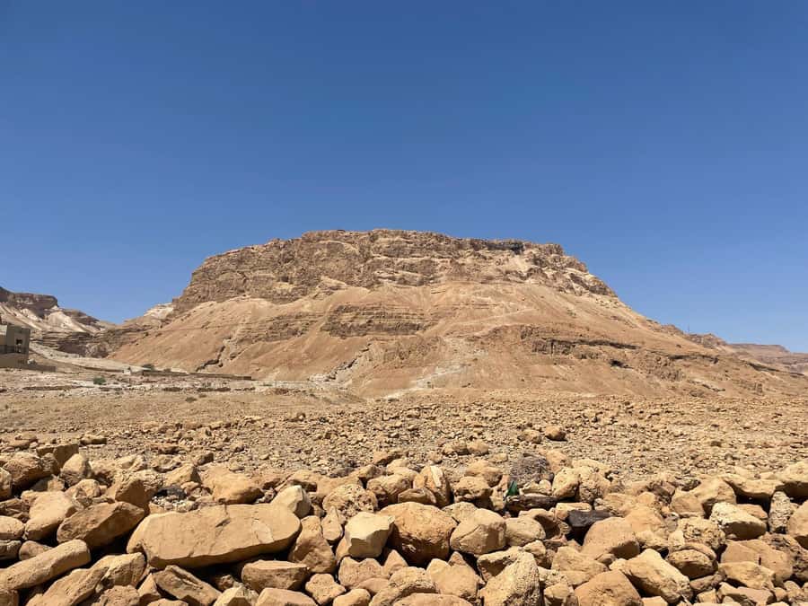 Masada Dead Sea: Small Group Tour from Tlv INCL. ENTRY FEES - What to pack for this 10-hour outing