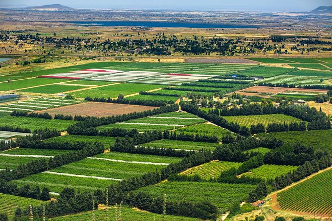 Nazareth and the Sea of Galilee Day Trip from Jerusalem - Capernaum, the strongest stop for biblical context