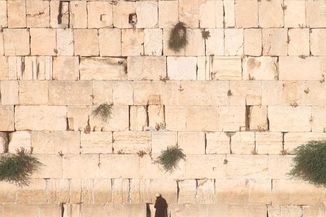 Old and New Jerusalem Full-Day Tour - Gethsemane, the Kidron Valley, and the Church of All Nations