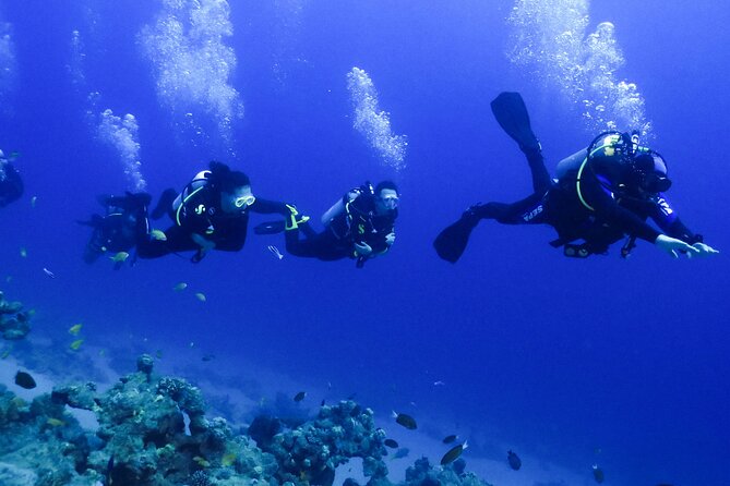 PADI Open Water Diver Course - 5 Days Scuba Diving - Four confined-water sessions to build confidence