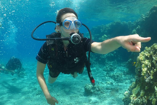 PADI Open Water Diver Course - 5 Days Scuba Diving - What the $551 price includes