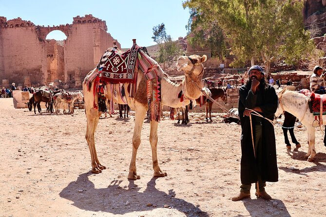 Petra 1-Day Tour from Tel Aviv with FREE Authentic Lunch - The 2.5-hour ride to Petra