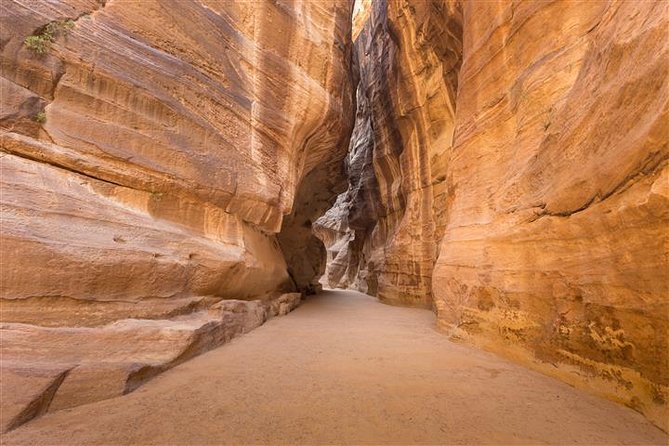 Petra and Wadi Rum 2 day Tour from Eilat - The Bedouin camp in Wadi Rum