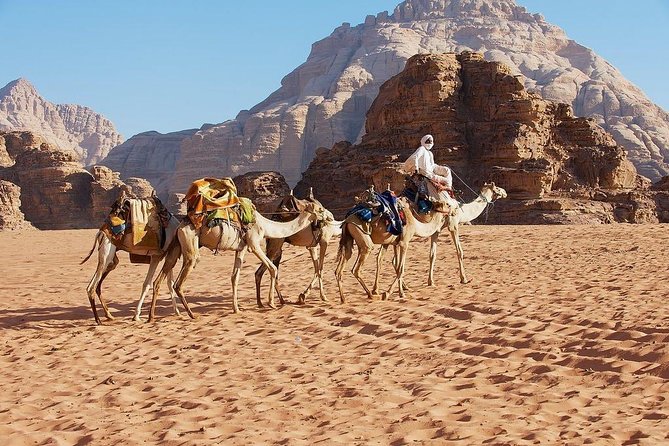 Petra & Wadi Rum 3 Days 2 Tour Nights from Eilat border - Is $635.90 a fair price?