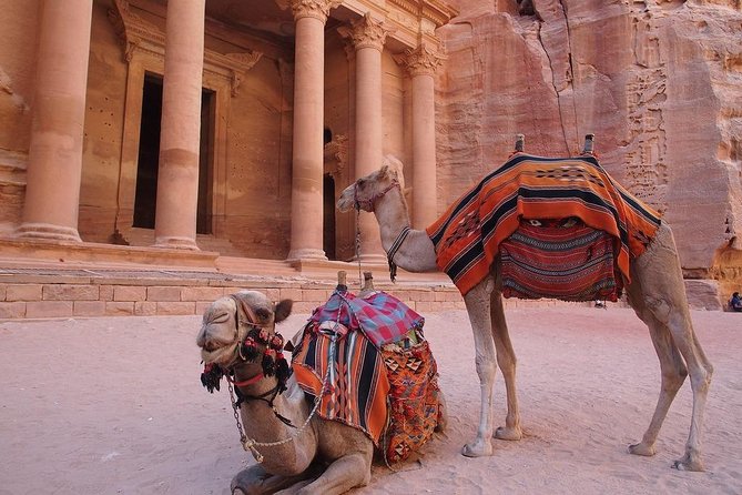 Petra & Wadi Rum 3 Days 2 Tour Nights from Eilat border - Timing, fitness, and practical limits