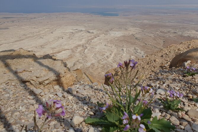Private Day Tour in Masada and the Dead Sea - A full day from Jerusalem to the Dead Sea