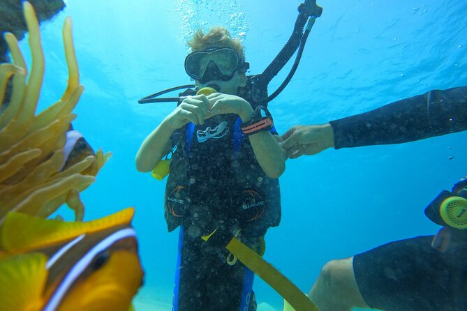 Private Scuba Diving Tour with Transportation and Guide - Seeing Red Sea marine life below the surface