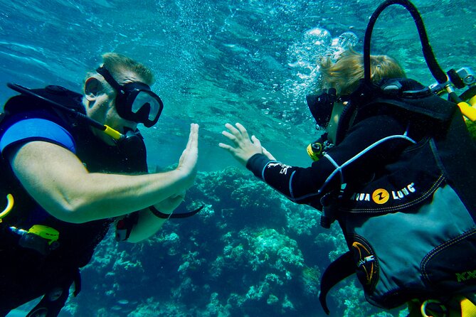 Private Scuba Diving Tour with Transportation and Guide - Photos and videos that come with the price