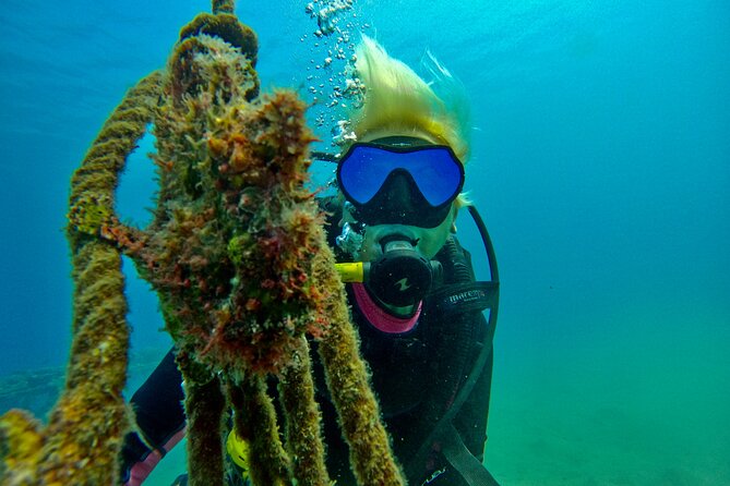 Private Scuba Diving Tour with Transportation and Guide - Is $220 per person a fair price?