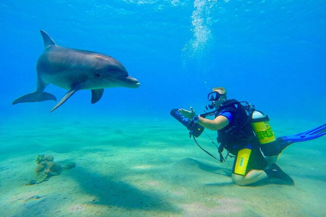 Private Scuba Diving Tour with Transportation and Guide - Who will get the most from this experience?