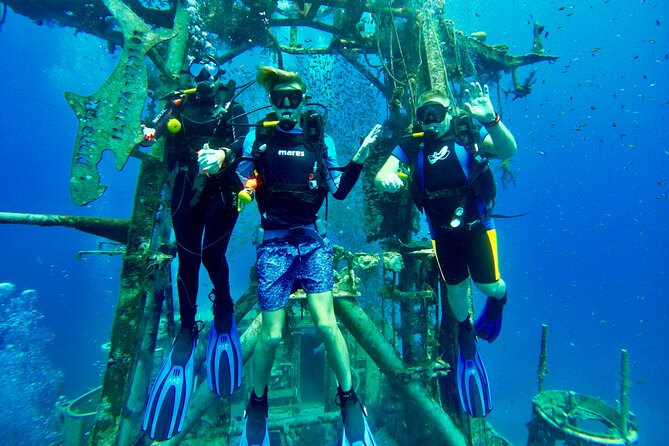 Private Scuba Diving Tour with Transportation and Guide - From pickup to the water