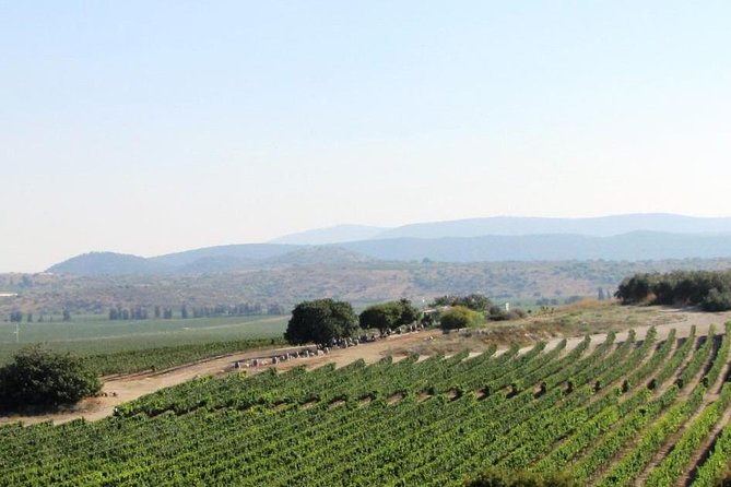 Private wine tour of Northern Israel - Key points to know before booking