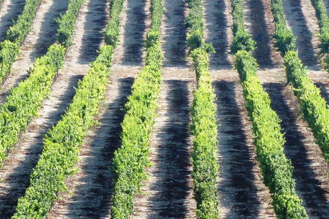 Private wine tour of Northern Israel - The price: good value for four, less so for two
