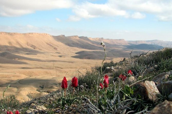 Ramon Crater Jeep Tour from Mitzpe Ramon - How the two-hour length affects your plans