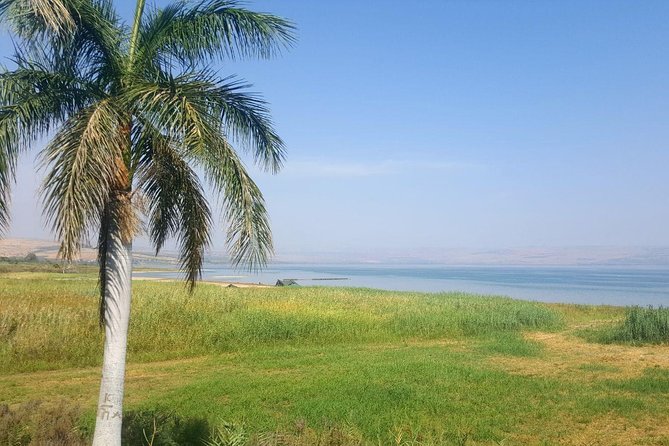 Sea of Galilee - Off the Beaten Track - The Bethsaida question at El-Araj and Bet Ha-Bek
