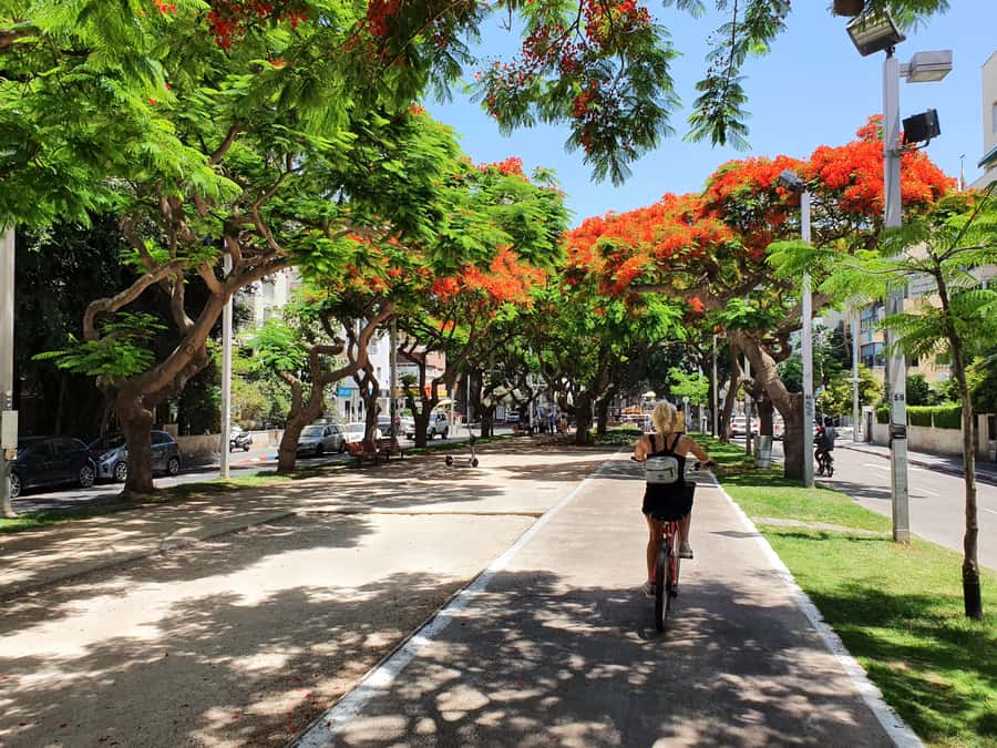 Tel Aviv 3-Hour Easy Bike Tour - What is included for $55?