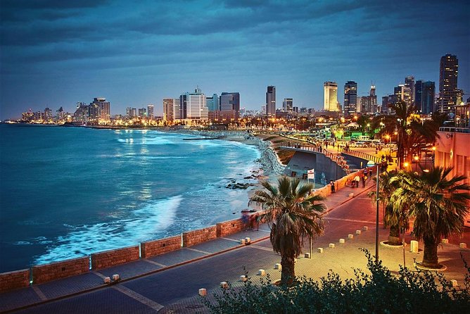 Tel Aviv Airport (TLV) to Tel Aviv Hotels - Private Transfer - The 90-minute delay allowance matters