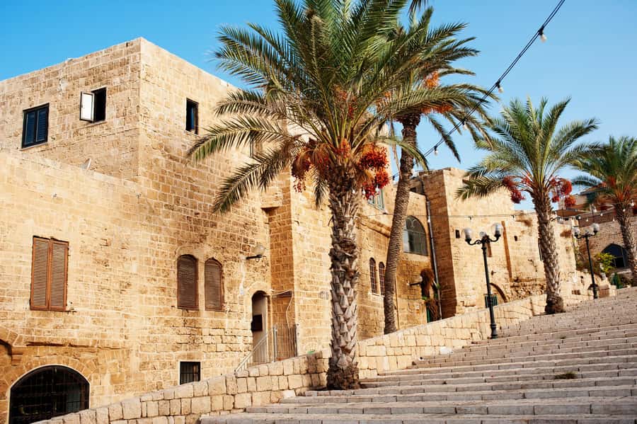 Tel Aviv: Jaffa Half-Day Walking Tour - From the flea market to Park HaTachana