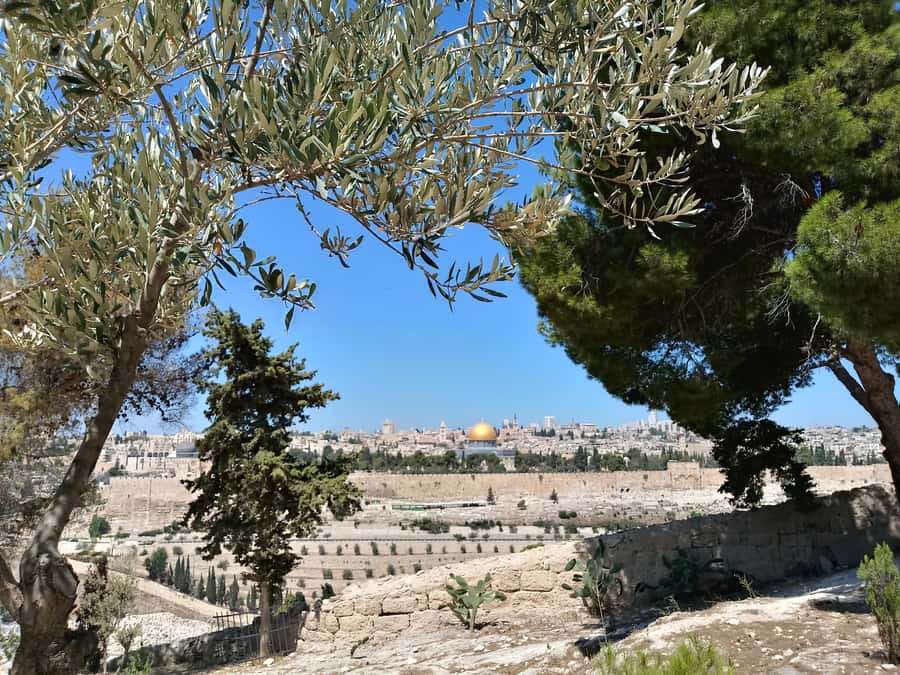 Tel Aviv: Jerusalem, Bethlehem & Dead Sea - Guides make the difference