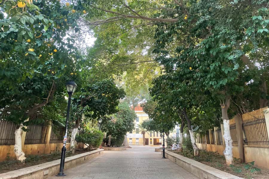 Tel Aviv: Neve Tzedek Cultural Walking Tour - Starting on Shabazi Street at Number 64