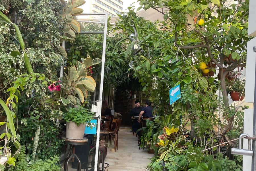 Tel Aviv: Neve Tzedek Cultural Walking Tour - What the Guide Adds to the Experience