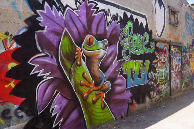 Tel Aviv Street Art & Graffiti Tour - Key points at a glance