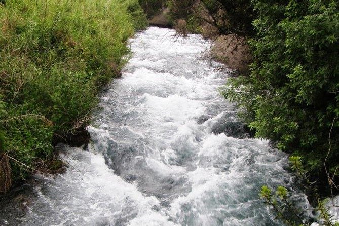 Tel Dan and Baniyas National Parks Private Tour - Who should book this tour
